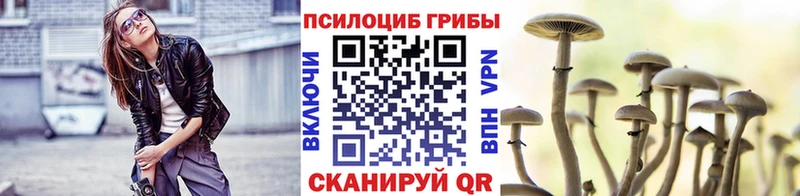 цена   Таштагол  Псилоцибиновые грибы Magic Shrooms 